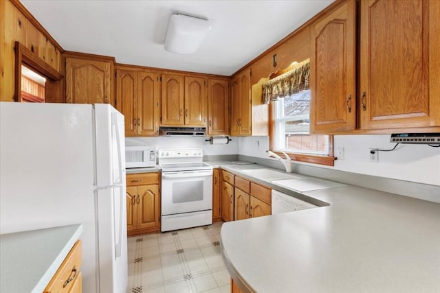 kitchen featuring sink, white appliances, and ventilation hood