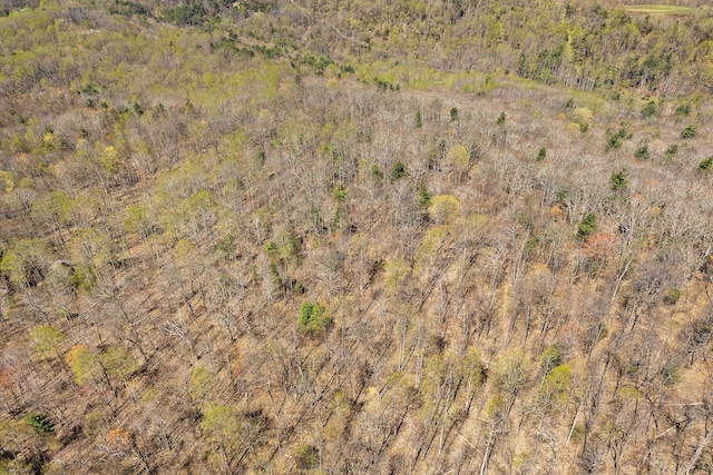 0 Mountainside Trl NE, Copper Hill, VA 24079