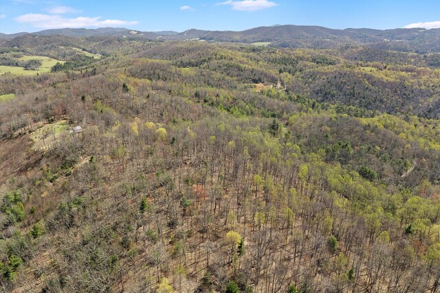 0 Mountainside Trl NE, Copper Hill, VA 24079