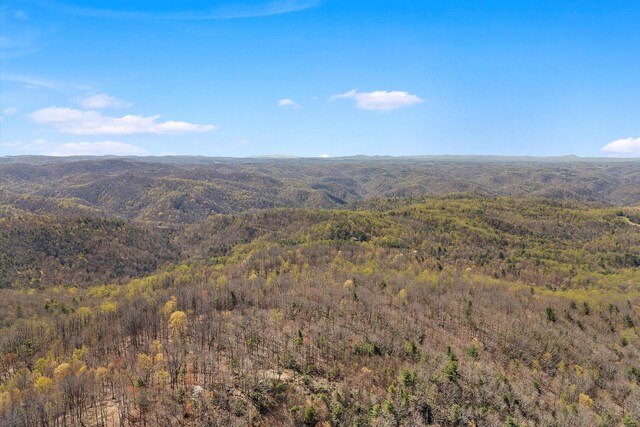 0 Mountainside Trl NE, Copper Hill, VA 24079