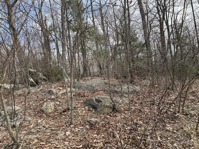 0 Mountainside Trl NE, Copper Hill, VA 24079