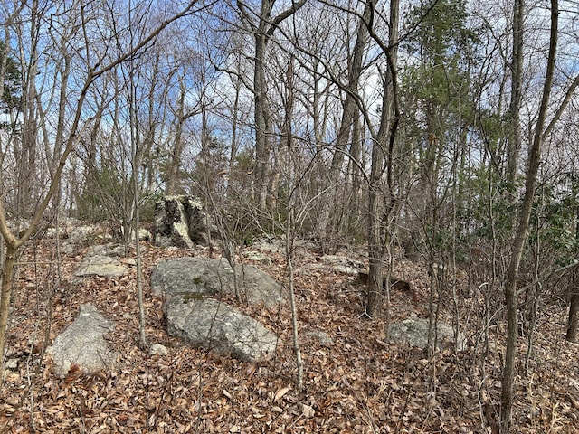 0 Mountainside Trl NE, Copper Hill, VA 24079