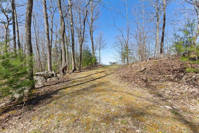 0 Mountainside Trl NE, Copper Hill, VA 24079