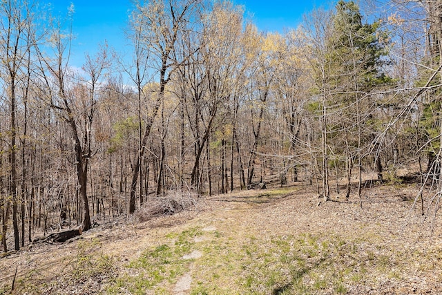 0 Mountainside Trl NE, Copper Hill, VA 24079