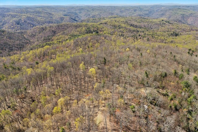 0 Mountainside Trl NE, Copper Hill, VA 24079
