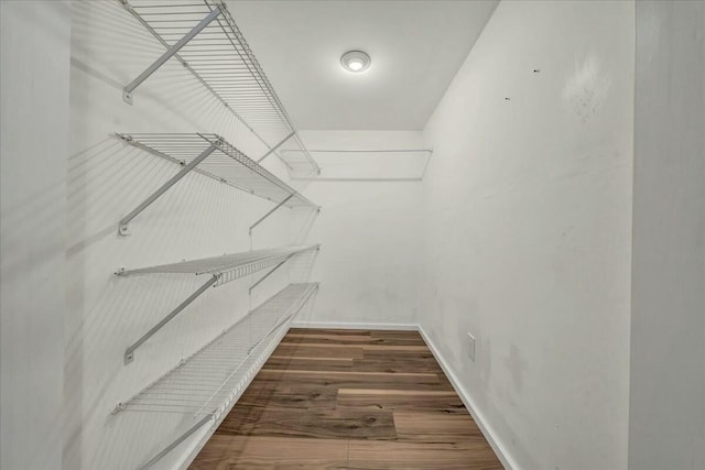 walk in closet featuring dark wood-style floors