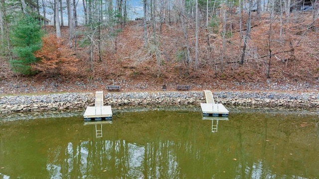 dock area featuring a water view