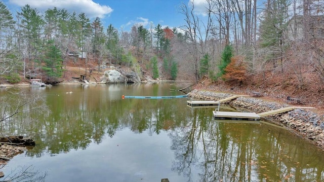 dock area featuring a water view