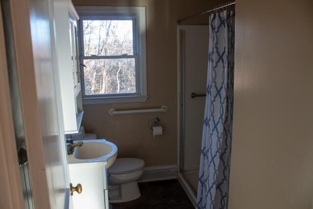 bathroom featuring toilet, vanity, and walk in shower