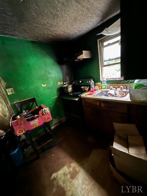 interior space with sink and a textured ceiling