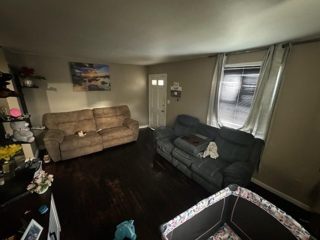 living room with wood-type flooring