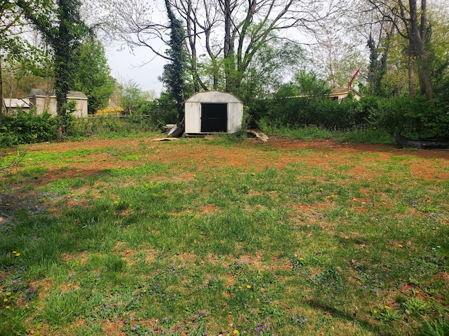 view of yard with a storage shed and an outdoor structure