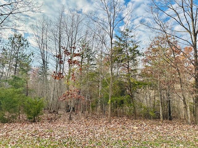 LOT6 Waterford Dr, Moneta, VA 24121