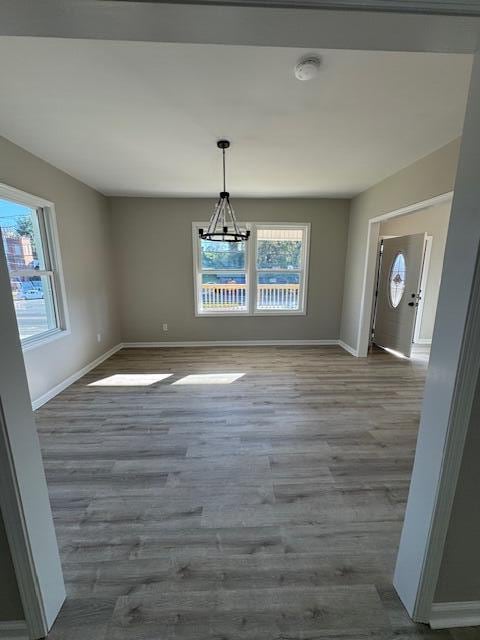 unfurnished dining area with hardwood / wood-style floors and a healthy amount of sunlight