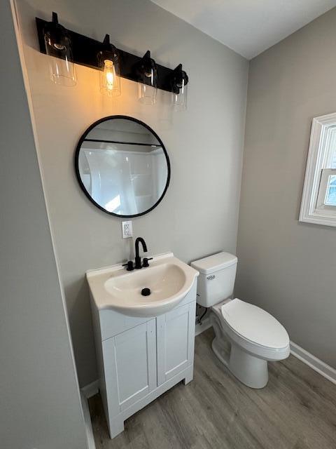 bathroom with vanity, wood-type flooring, and toilet