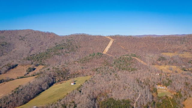 0 Bacchus Ln, Elliston, VA 24087