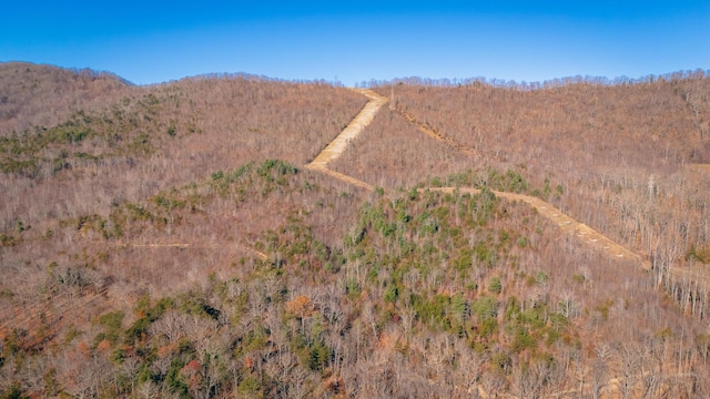 0 Bacchus Ln, Elliston, VA 24087