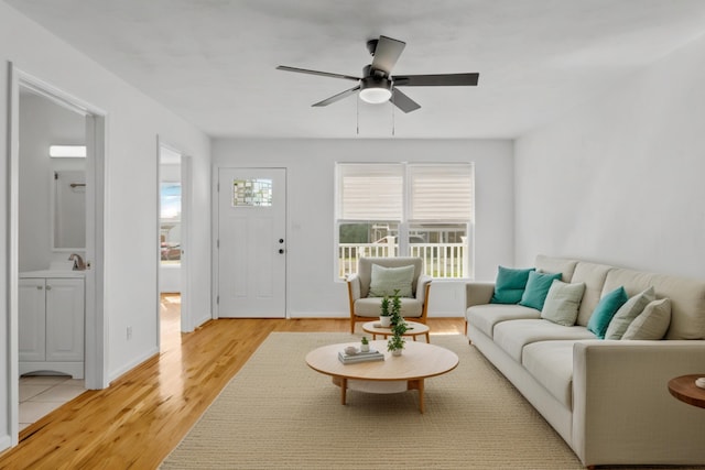 living room featuring light hardwood / wood-style floors, ceiling fan, and sink