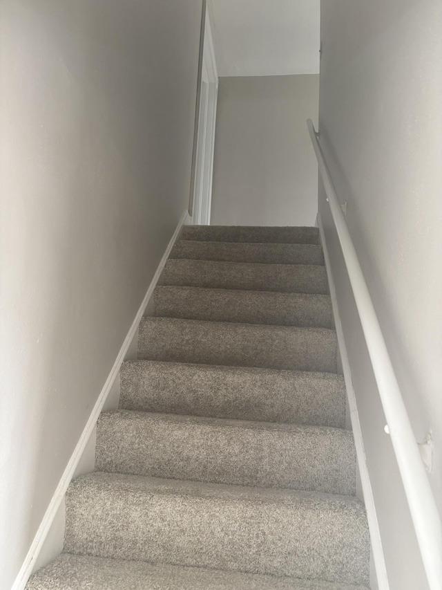 stairway featuring carpet