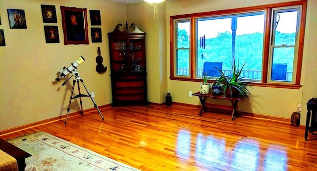 misc room with wood-type flooring and a wealth of natural light