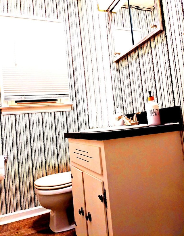 bathroom with hardwood / wood-style flooring and toilet