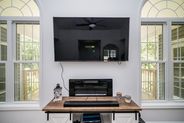 interior details featuring ceiling fan