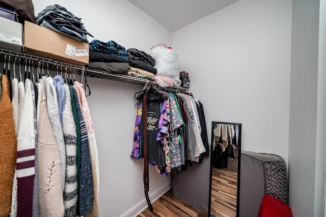 walk in closet with hardwood / wood-style floors