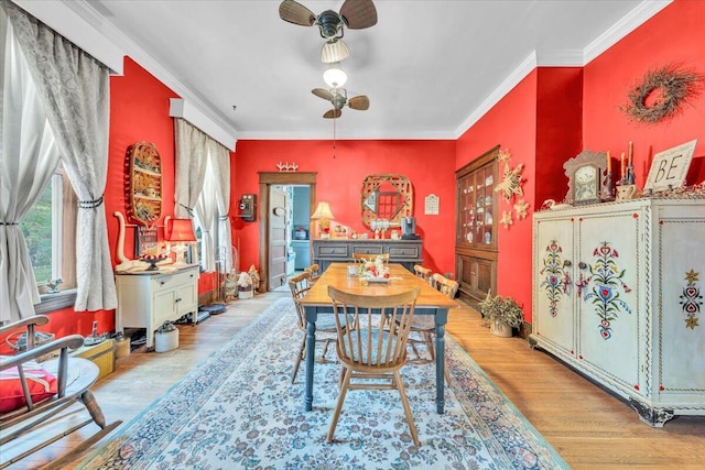 dining room with light hardwood / wood-style floors, ceiling fan, and crown molding