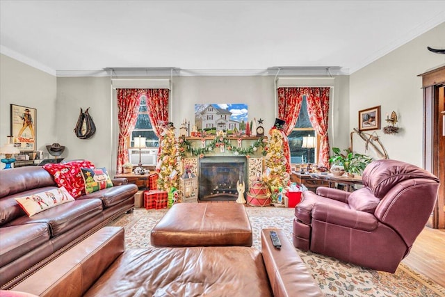 living room featuring wood-type flooring and ornamental molding