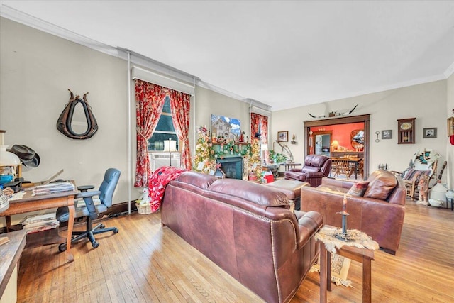 living room with crown molding and light hardwood / wood-style floors