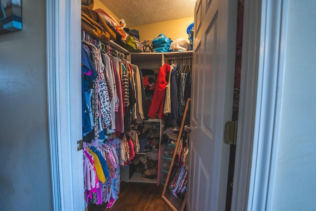 walk in closet featuring dark hardwood / wood-style floors