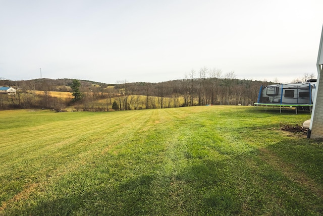 view of yard with a trampoline