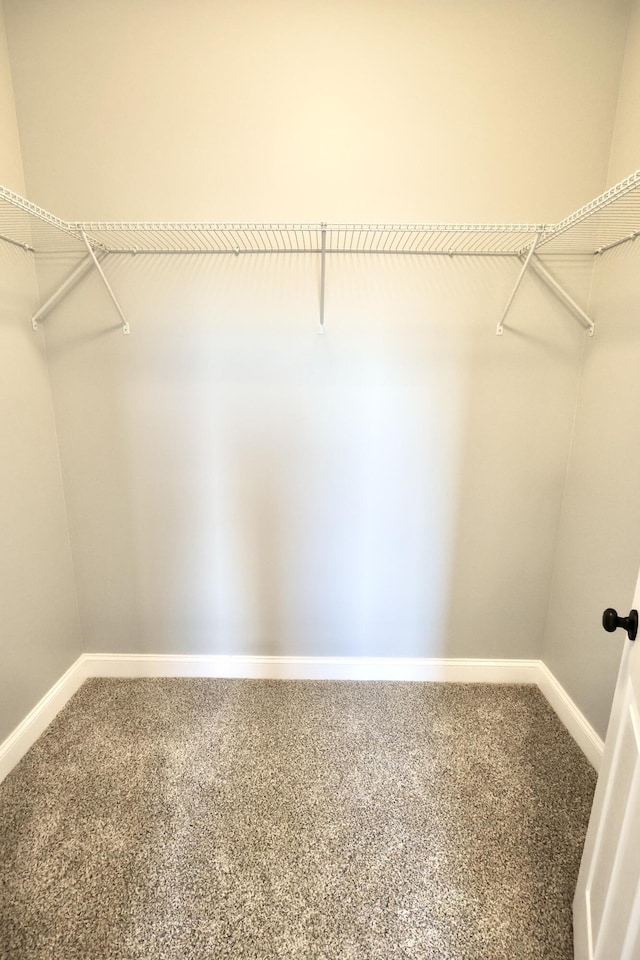 spacious closet with carpet floors