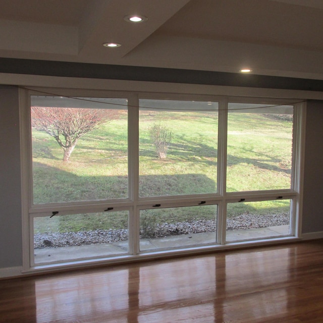 entryway featuring wood-type flooring