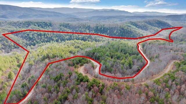 0 Overlook Way, Clifton Forge VA, 24422 land for sale