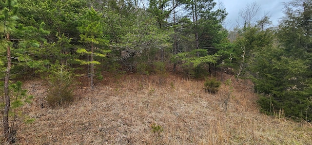 LOT33 Johns Creek Rd, New Castle VA, 24127 land for sale