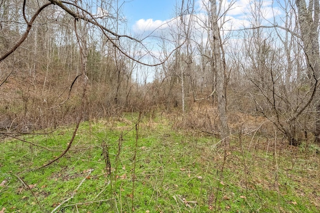 view of local wilderness with a forest view