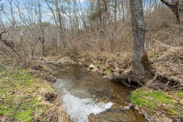 view of local wilderness