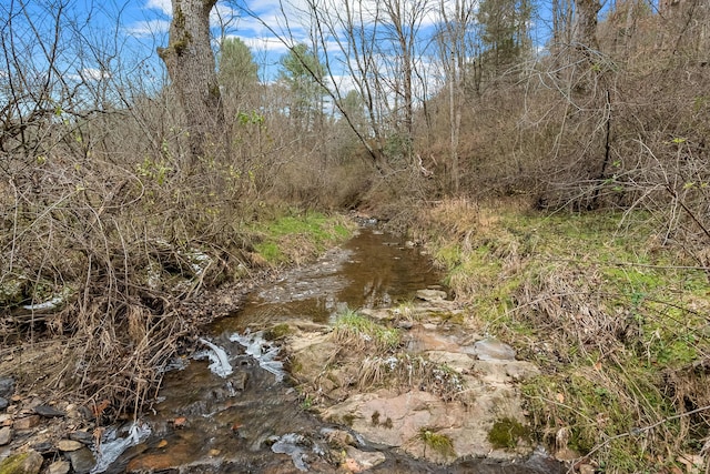 view of nature with a wooded view