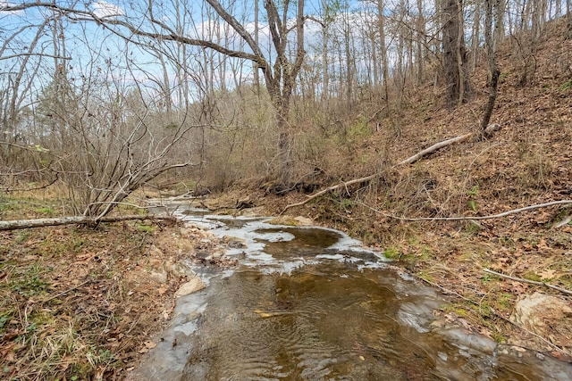 view of nature