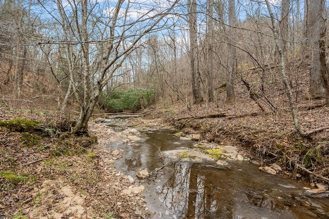 view of nature featuring a forest view