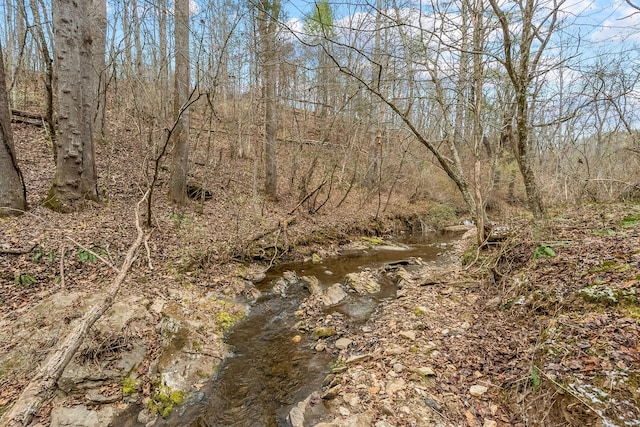 view of landscape featuring a view of trees