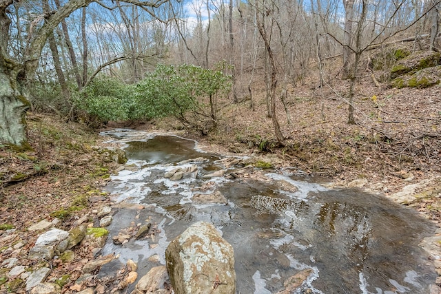 view of local wilderness featuring a view of trees