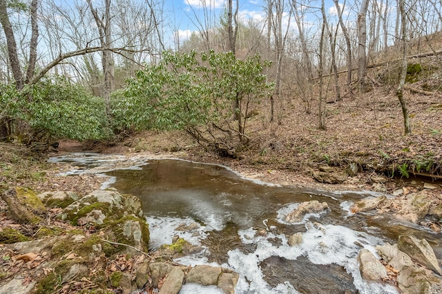 view of nature with a forest view