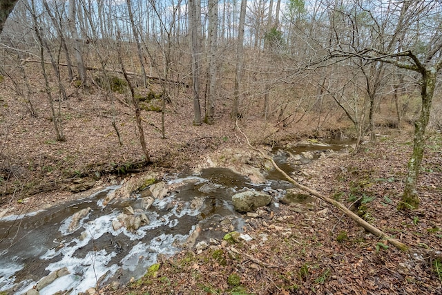 view of landscape featuring a forest view