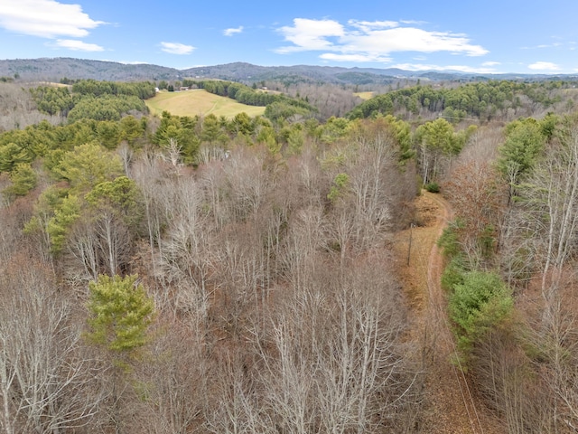 birds eye view of property featuring a forest view and a mountain view