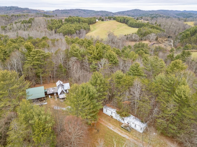 birds eye view of property with a mountain view and a view of trees