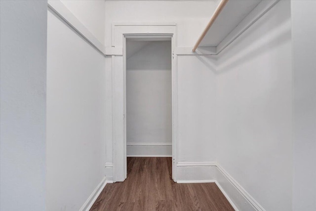 spacious closet with hardwood / wood-style floors