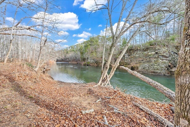 0 Craig Creek Rd, Eagle Rock VA, 24085 land for sale