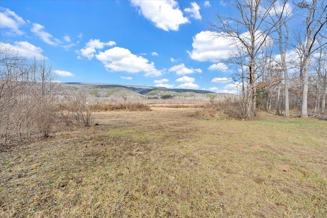 Listing photo 3 for 0 Craig Creek Rd, Eagle Rock VA 24085